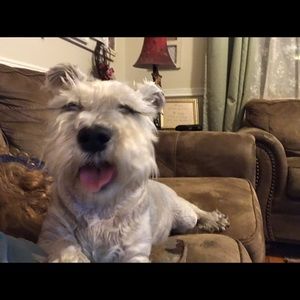 Meet your Posher, Alison